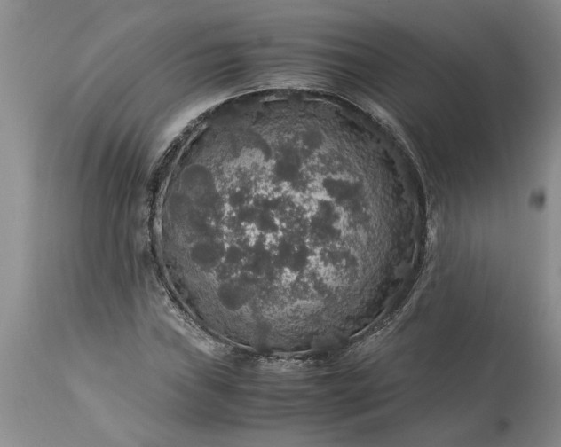 X0000113601019200910021736