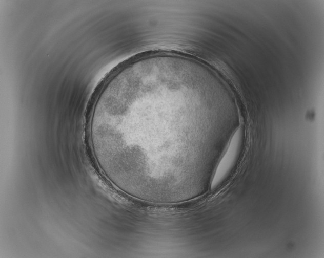 X0000113601020200910021736