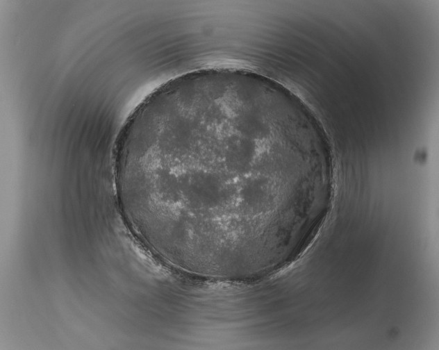 X0000113601022200910021736