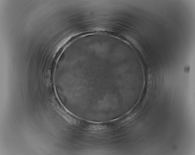 X0000113601023200910021736