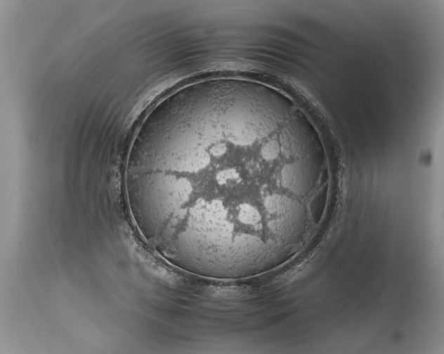 X0000113601025200910021736