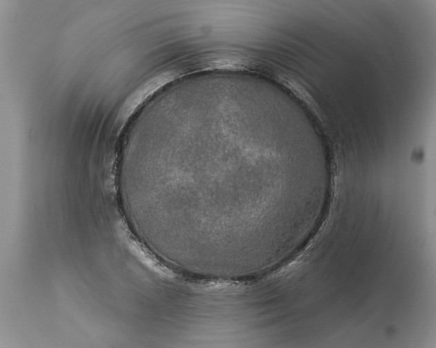 X0000113601026200910021736