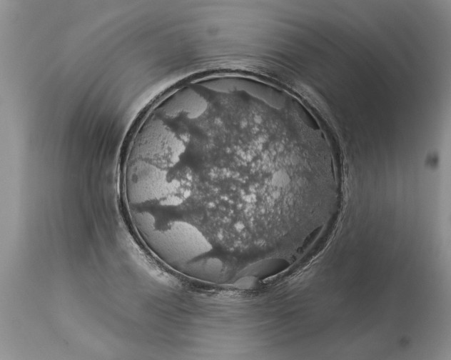 X0000113601028200910021736