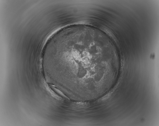 X0000113601029200910021736