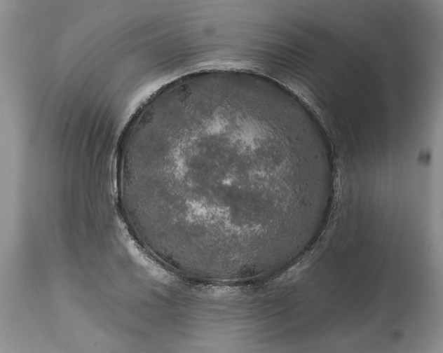 X0000113601030200910021736