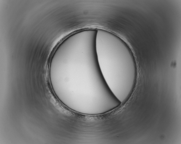 X0000113601032200910021736