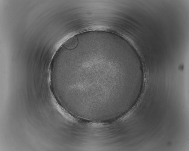 X0000113601034200910021736