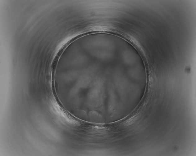 X0000113601035200910021736