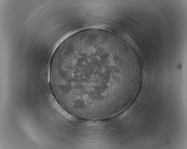 X0000113601036200910021736