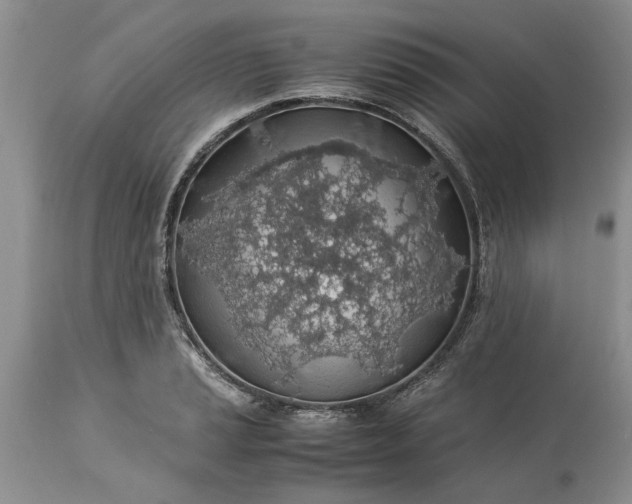 X0000113601037200910021736