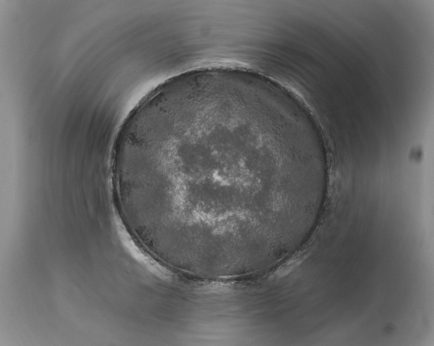 X0000113601038200910021736