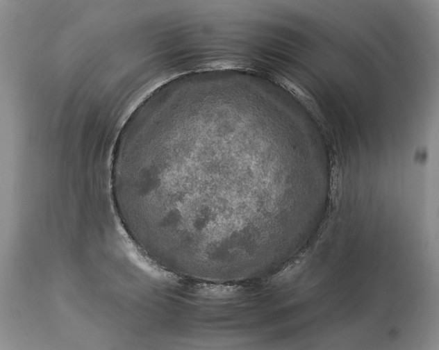 X0000113601039200910021736