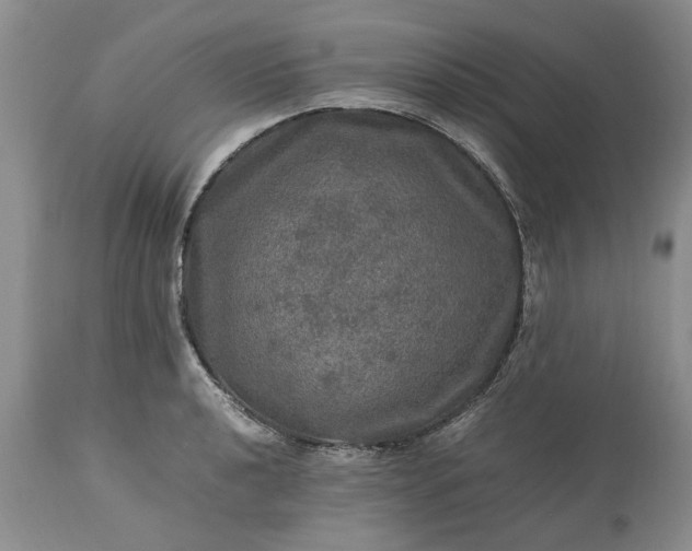 X0000113601040200910021736