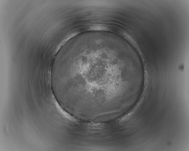 X0000113601041200910021736