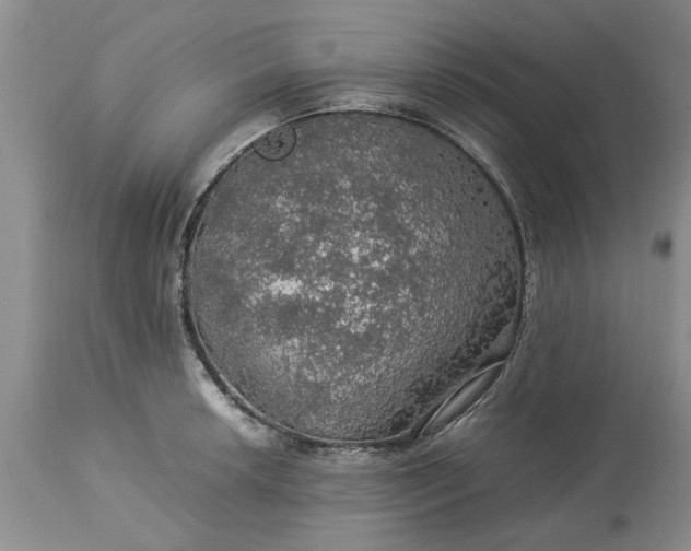 X0000113601042200910021736