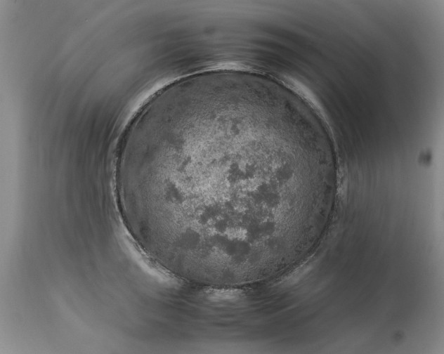 X0000113601043200910021736