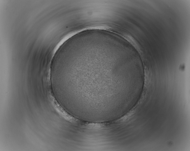 X0000113601044200910021736