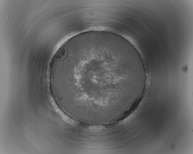 X0000113601046200910021736