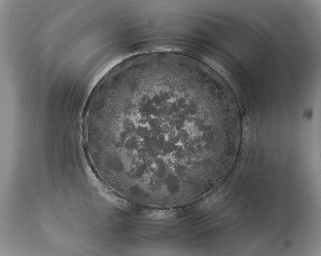 X0000113601047200910021736