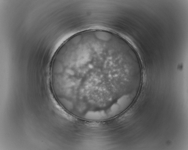 X0000113601048200910021736