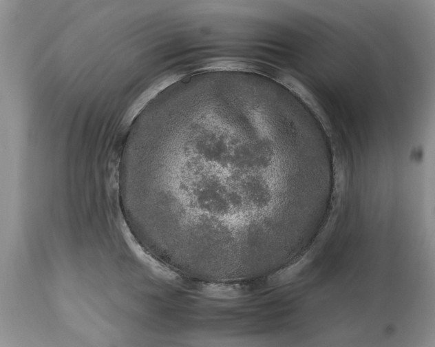 X0000113601049200910021736