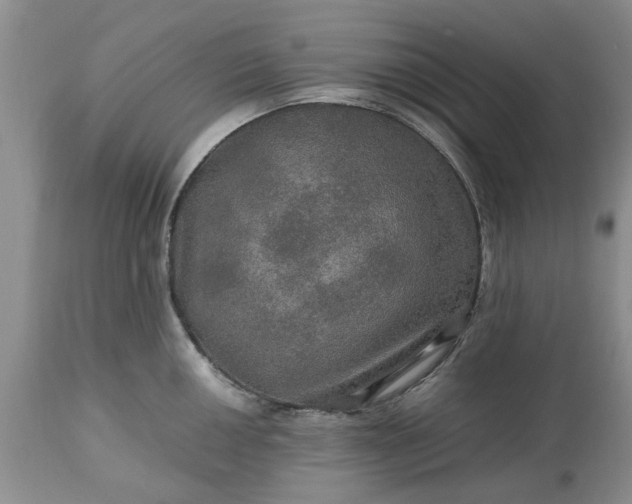 X0000113601050200910021736