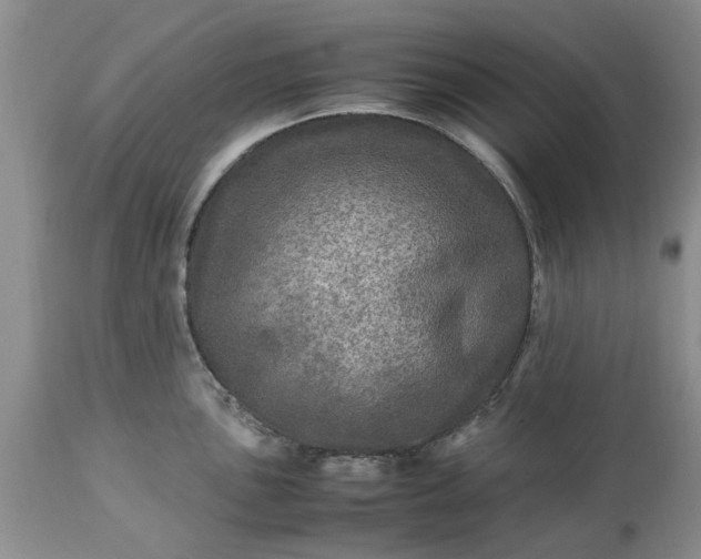 X0000113601051200910021736