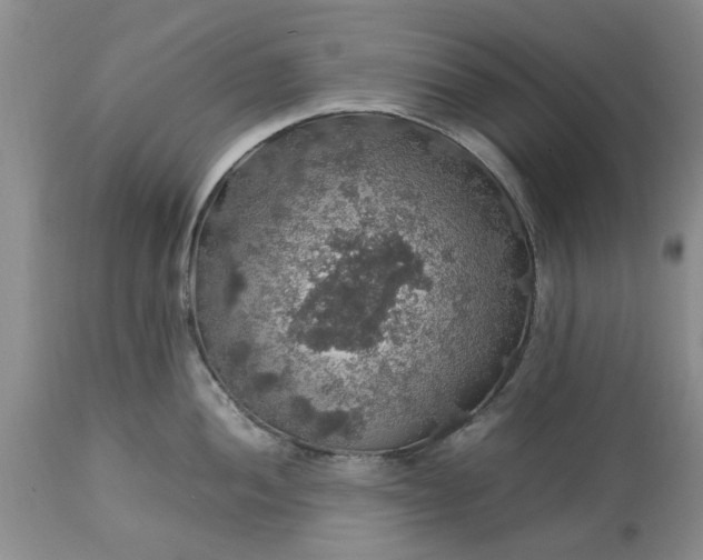 X0000113601052200910021736