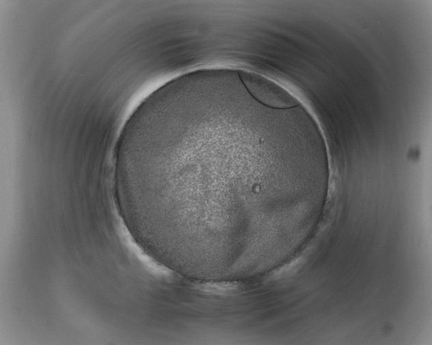 X0000113601053200910021736