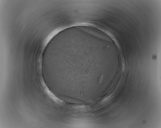 X0000113601054200910021736