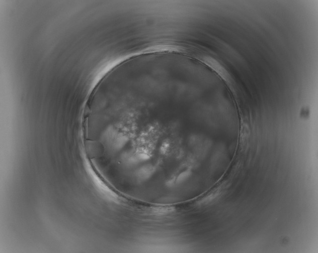 X0000113601055200910021736