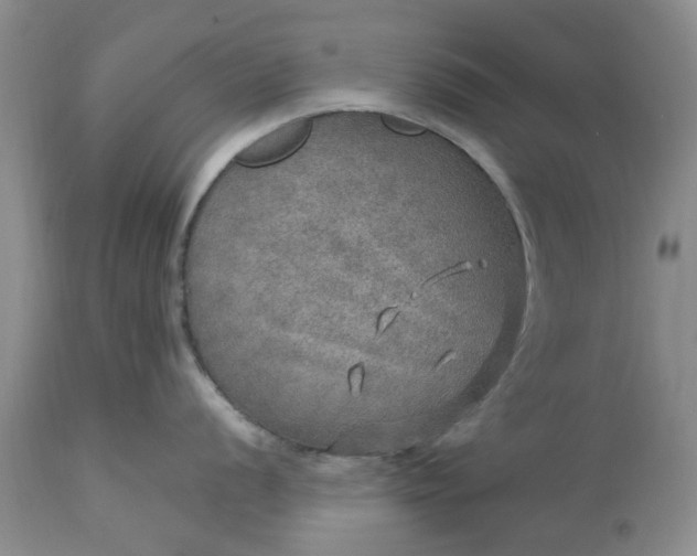 X0000113601056200910021736