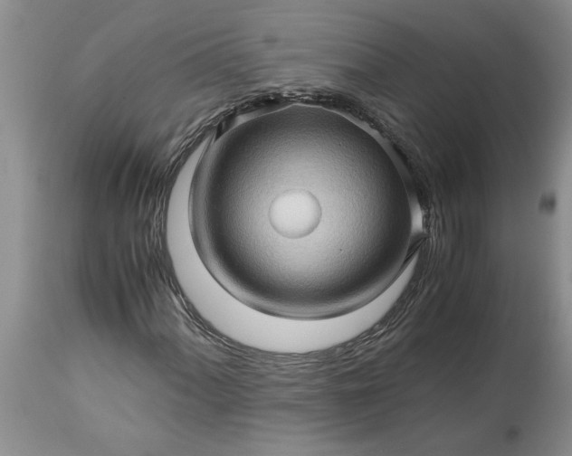 X0000113601060200910021736