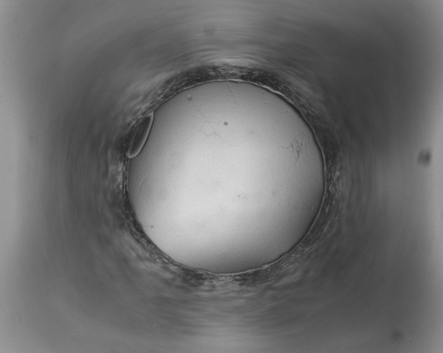 X0000113601061200910021736