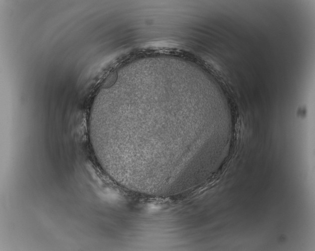 X0000113601062200910021736