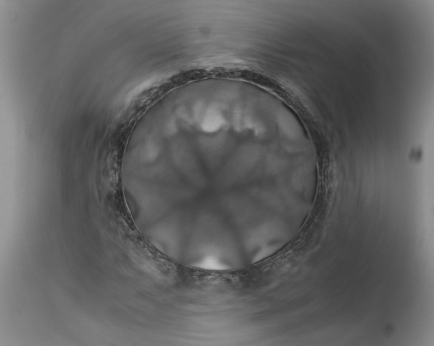 X0000113601063200910021735