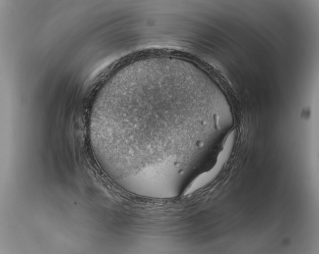 X0000113601064200910021735