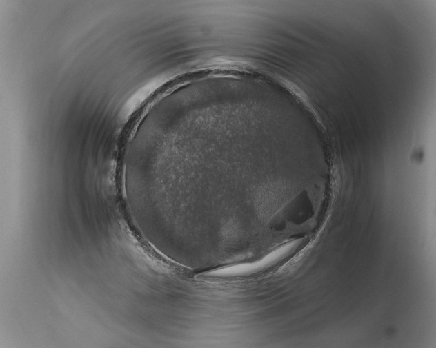 X0000113601066200910021735