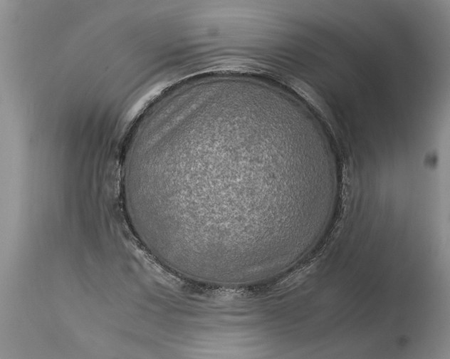 X0000113601067200910021735