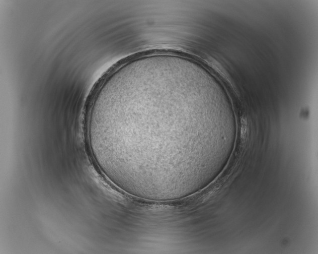 X0000113601068200910021735