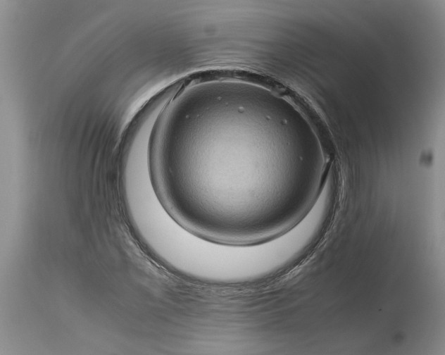 X0000113601069200910021735