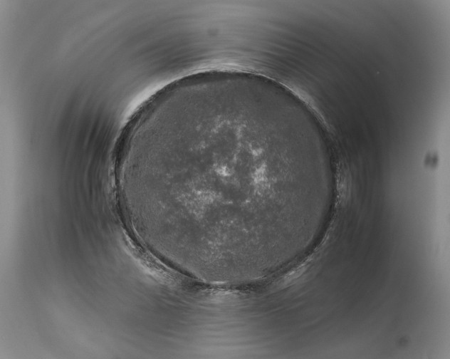 X0000113601070200910021735