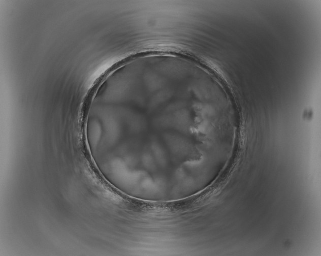 X0000113601071200910021735