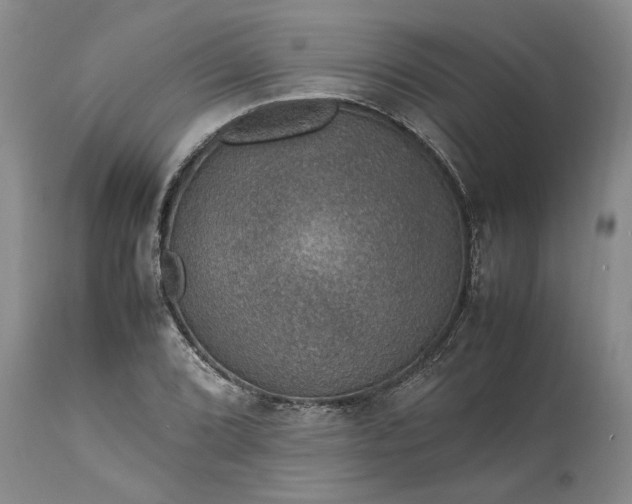 X0000113601072200910021735