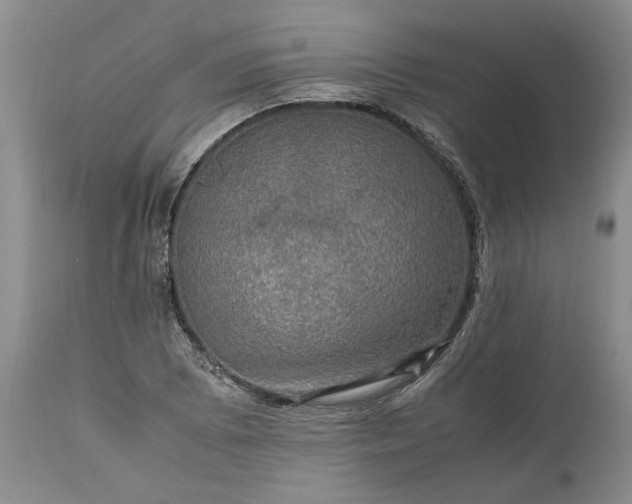 X0000113601073200910021735