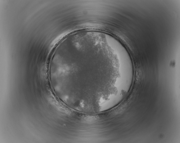 X0000113601074200910021735