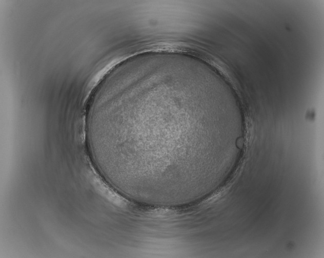 X0000113601075200910021735