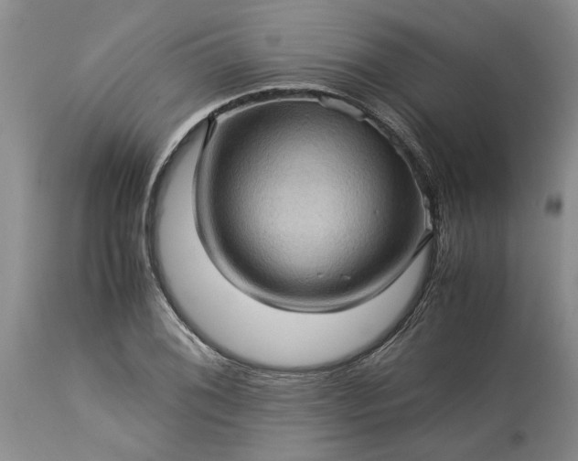 X0000113601076200910021735