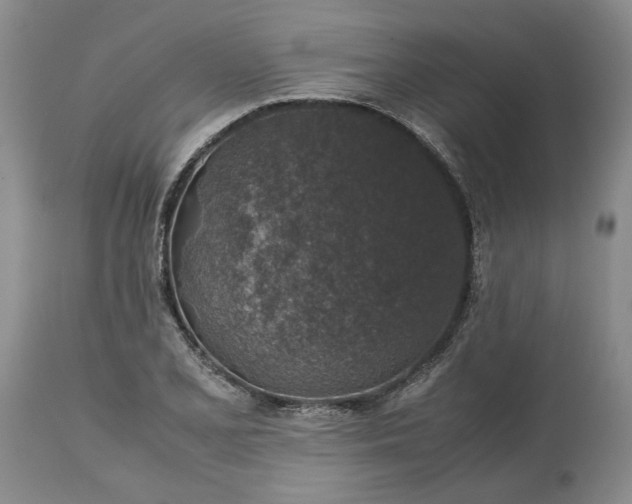 X0000113601077200910021735