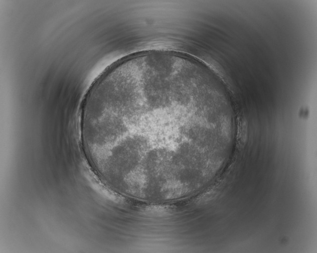 X0000113601078200910021735